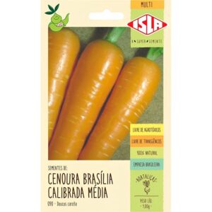 Sementes de Cenoura Brasília Calibrada Média com 1 Grama - 9021 - ISLA